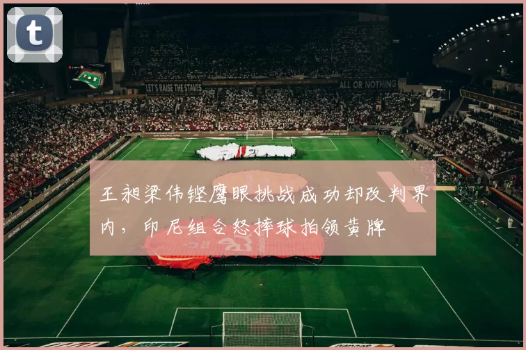 王昶梁伟铿鹰眼挑战成功却改判界内，印尼组合怒摔球拍领黄牌