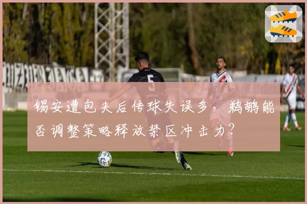 锡安遭包夹后传球失误多，鹈鹕能否调整策略释放禁区冲击力？
