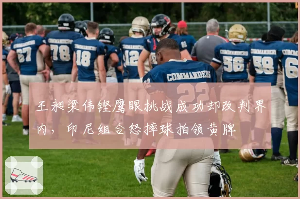 王昶梁伟铿鹰眼挑战成功却改判界内，印尼组合怒摔球拍领黄牌
